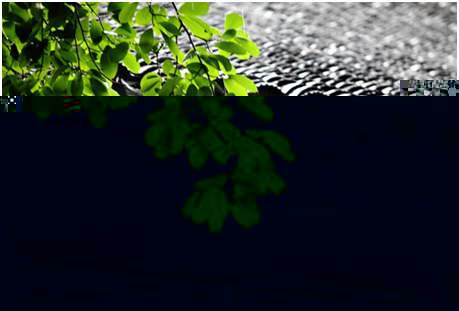 環(huán)境空氣降水中陽(yáng)離子（Na+、NH4+、K+、Mg2+、Ca2+）的測(cè)定離子色譜法