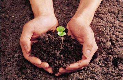 土壤和沉積物 氨基甲酸酯類農(nóng)藥的測(cè)定 高效液相色譜-三重四極桿質(zhì)譜法