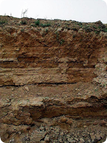 土壤和沉積物 總汞的測(cè)定 催化熱解-冷原子吸收分光光度法