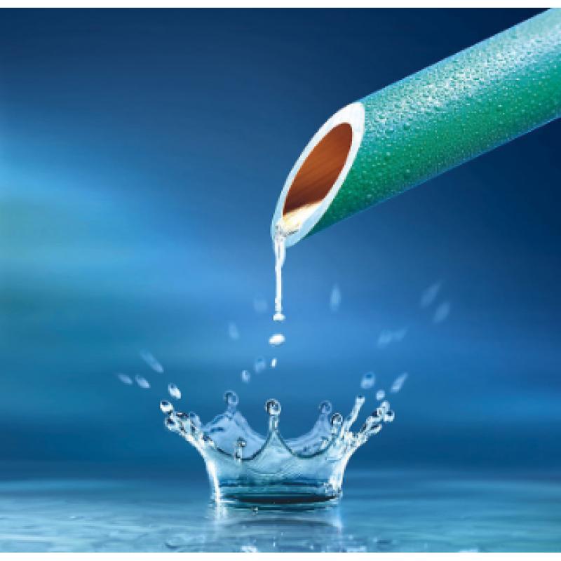 水質 氯酸鹽、亞氯酸鹽、溴酸鹽、二氯乙酸和三氯乙酸的測定 離子色譜法